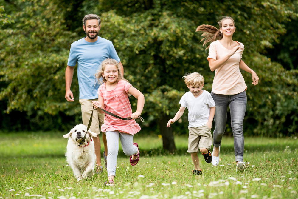A Perfect Family Day Out in Summerville, SC: Fun and Adventure Awaits! 1 Kids in Summerville